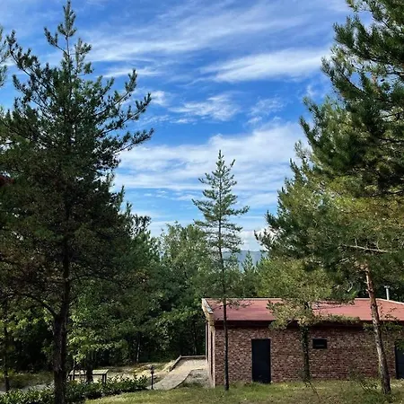 Dağ evi Redpine *
