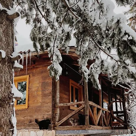 Redpine Dağ evi *