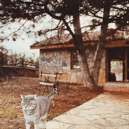 Redpine * İznik