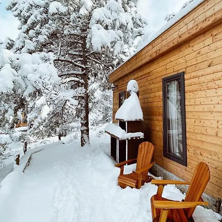 Redpine Dağ evi