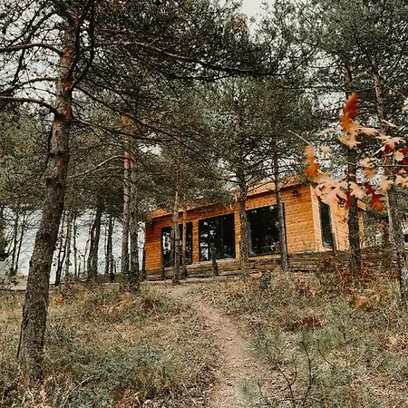 Redpine Dağ evi