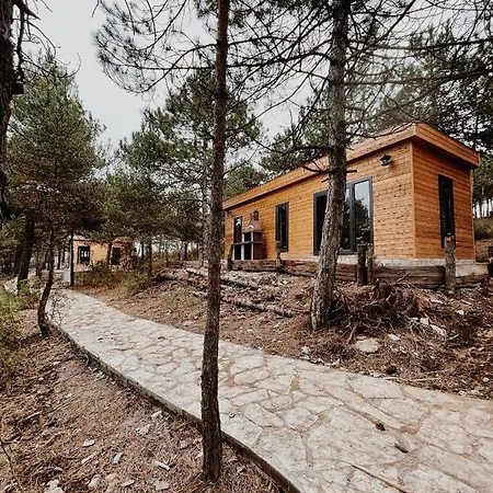 Redpine Dağ evi *