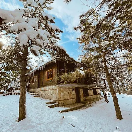 Redpine Dağ evi İznik