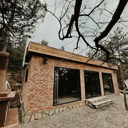 Dağ evi Redpine İznik
