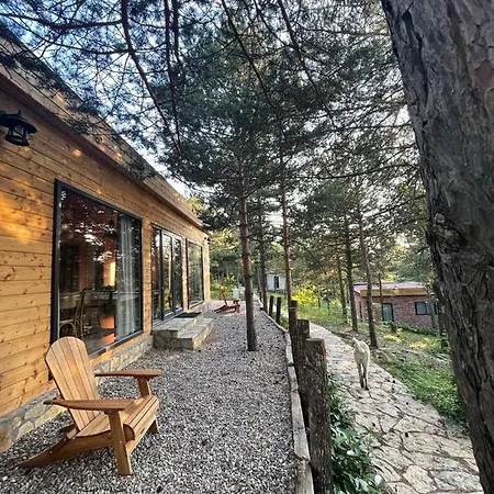 Redpine Dağ evi İznik