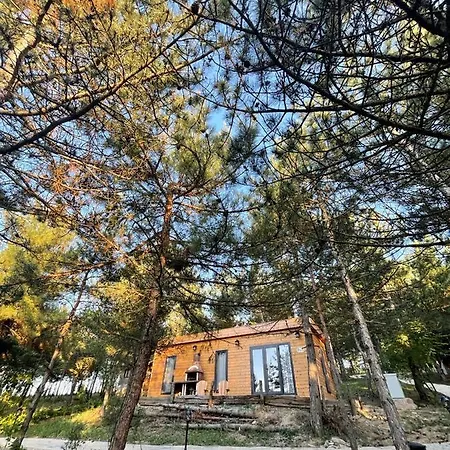Redpine Dağ evi İznik