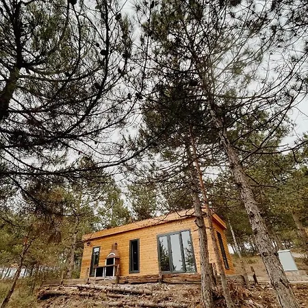 Redpine * İznik