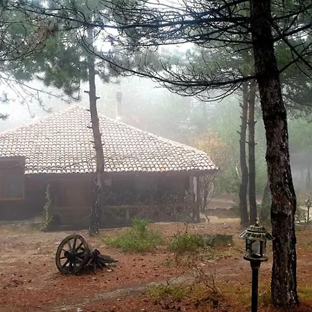 Dağ evi Redpine İznik
